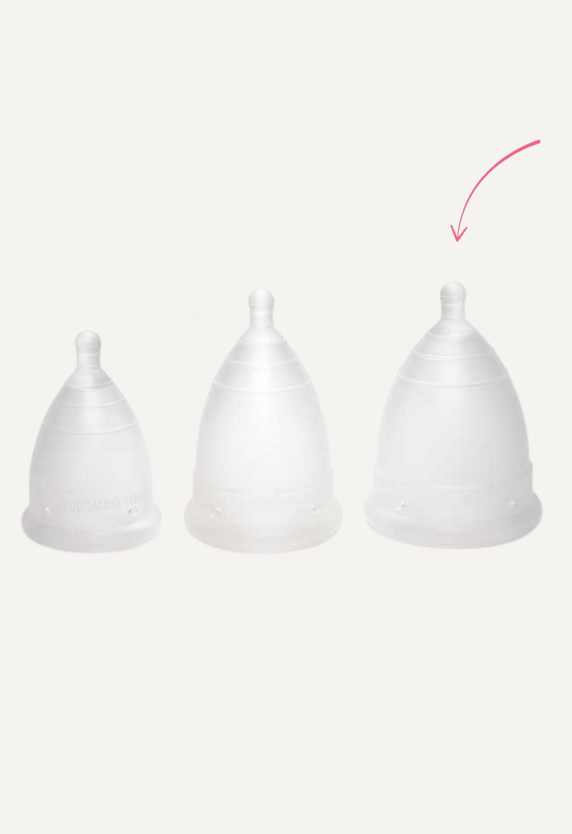 MonthlyCup - Plus - Transparent